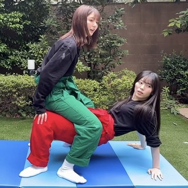 櫻坂・日向坂メンバーさん、これ絶対入ってるよねw ほか